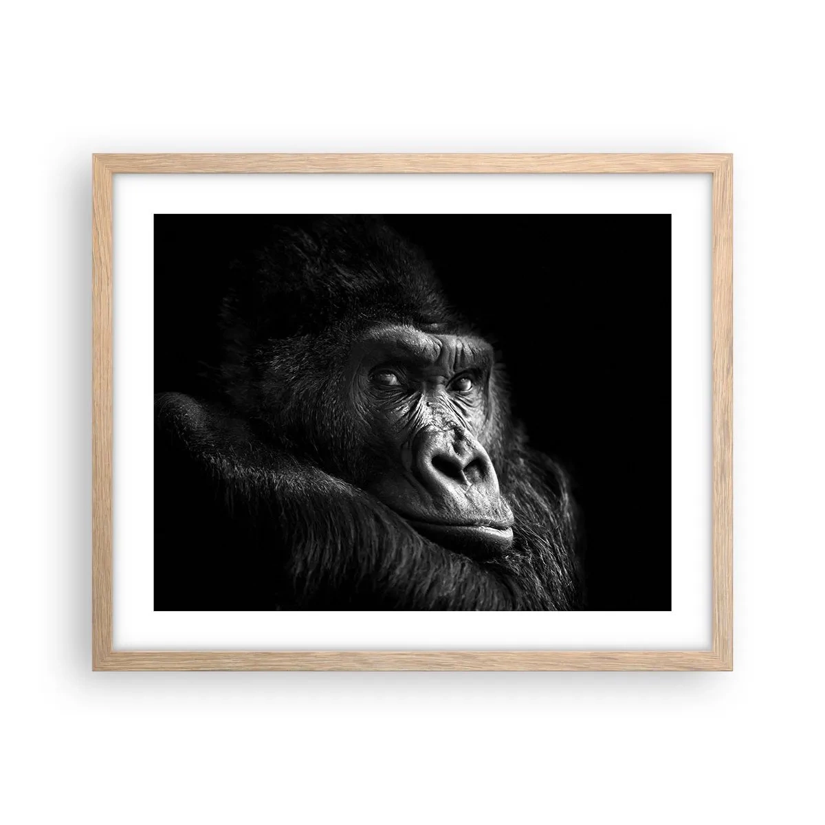 Affiche dans un chêne clair - Poster - Et qu'est-ce que tu regardes? - 50x40 cm
