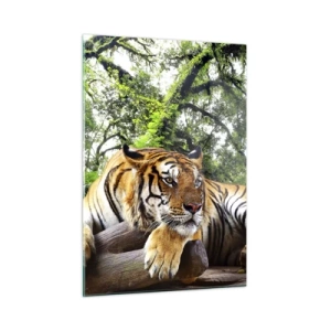 Impression sur verre - Image sur verre - Un tigre se reposant dans une forêt tropicale verte - 50x70cm - Cordialement - Décoration murale moderne pour le salon et la chambre ARTTOR