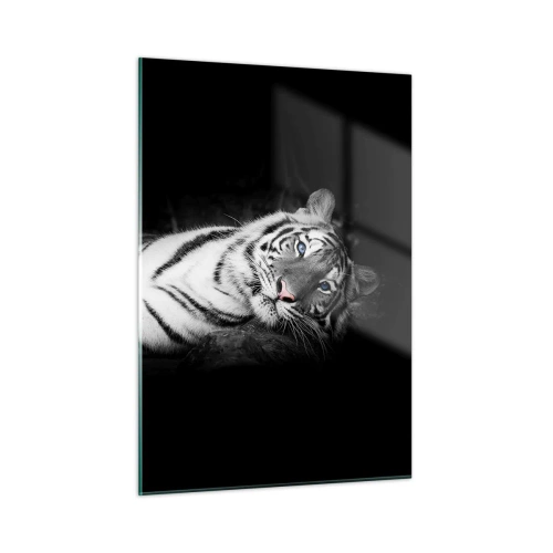 Impression sur verre - Image sur verre - Un tigre blanc aux yeux bleus dans un décor noir et blanc - 50x70cm - Sauvagerie et paix - Décoration murale moderne pour le salon et la chambre ARTTOR