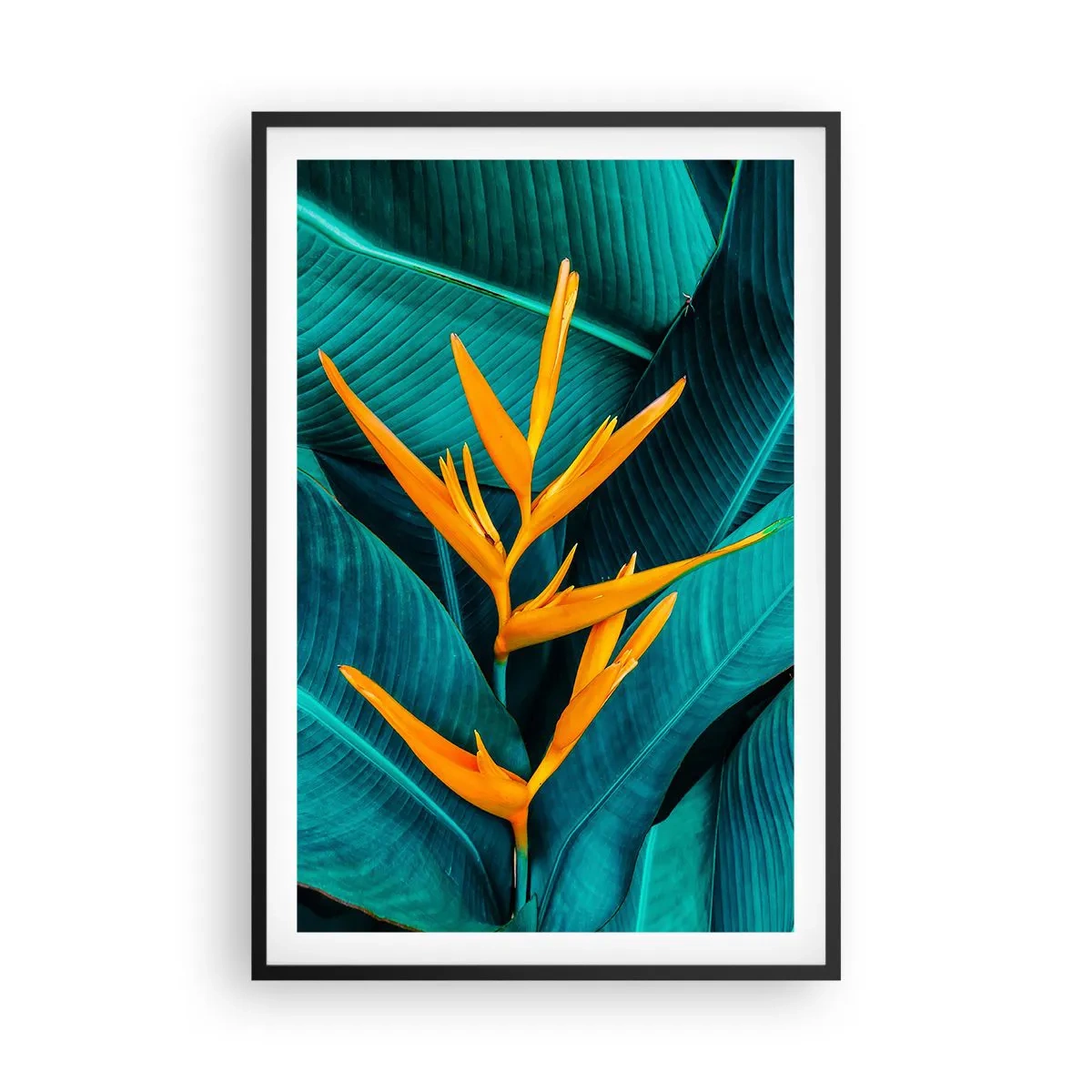 Affiche dans un cadre noir - Poster - Fleur d'Eden - 61x91 cm