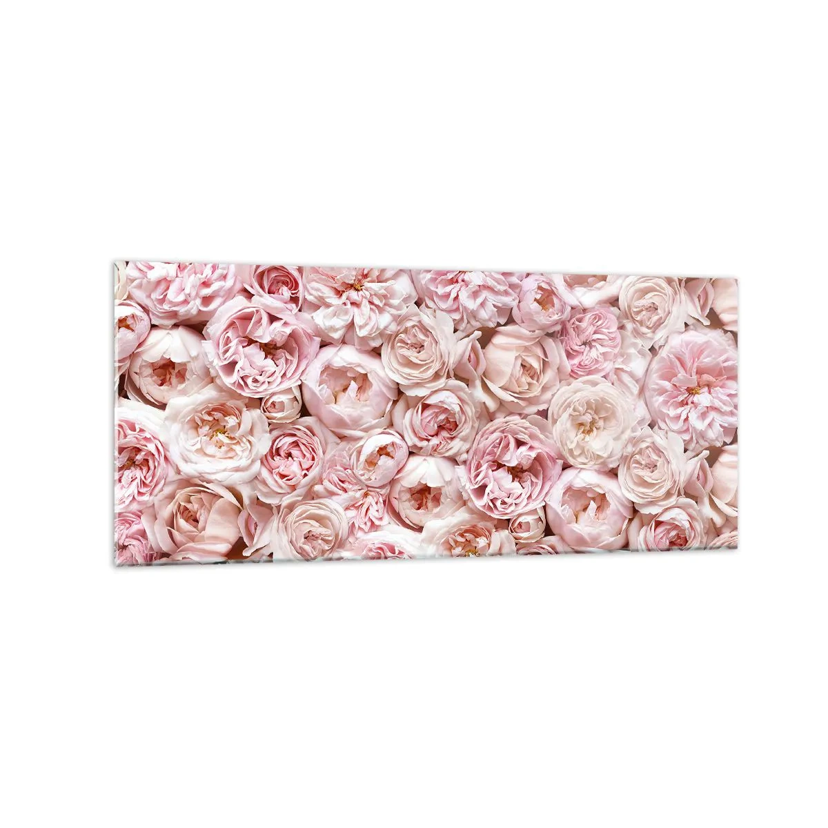Impression sur verre - Image sur verre - Des roses délicates dans des tons de rose sur toute la surface - 120x50cm - Un lit de roses - Décoration murale moderne pour le salon et la chambre ARTTOR
