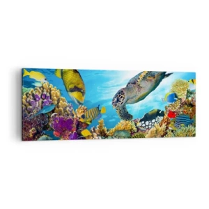 Impression sur toile - Image sur toile - Monde sous-marin avec des poissons colorés et une tortue dans le corail - 140x50cm - Promenade de corail - Décoration murale moderne pour le salon et la chambre ARTTOR