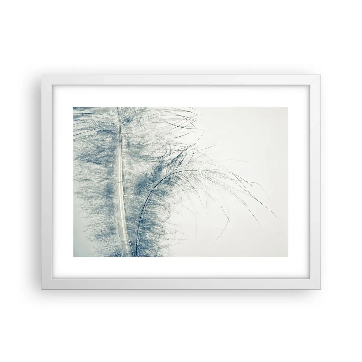 Affiche dans un cadre blanc - Poster - Les sept natures - 40x30 cm