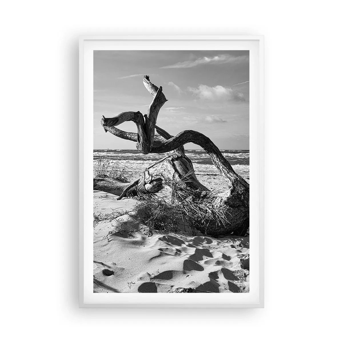 Affiche dans un cadre blanc - Poster - Sculpture marine - 61x91 cm