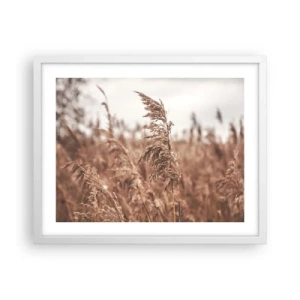 Affiche dans un cadre blanc - Poster - C'est déjà l'automne dans les champs - 50x40 cm