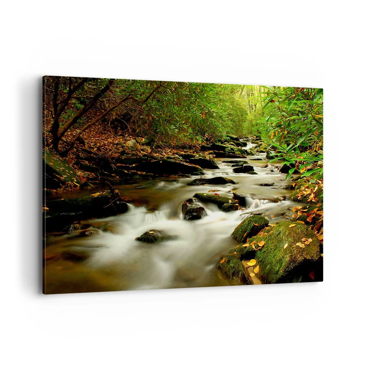 Impression sur toile - Image sur toile - Un ruisseau forestier coulant entre des pierres entourées de verdure - 100x70cm - Comme de l'argent liquide - Décoration murale moderne pour le salon et la chambre ARTTOR