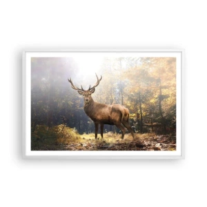 Affiche dans un cadre blanc - Poster - Toute sa majesté - 91x61 cm