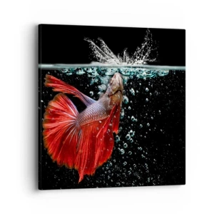 Impression sur toile - Image sur toile - Vous avez trois vœux - 40x40 cm