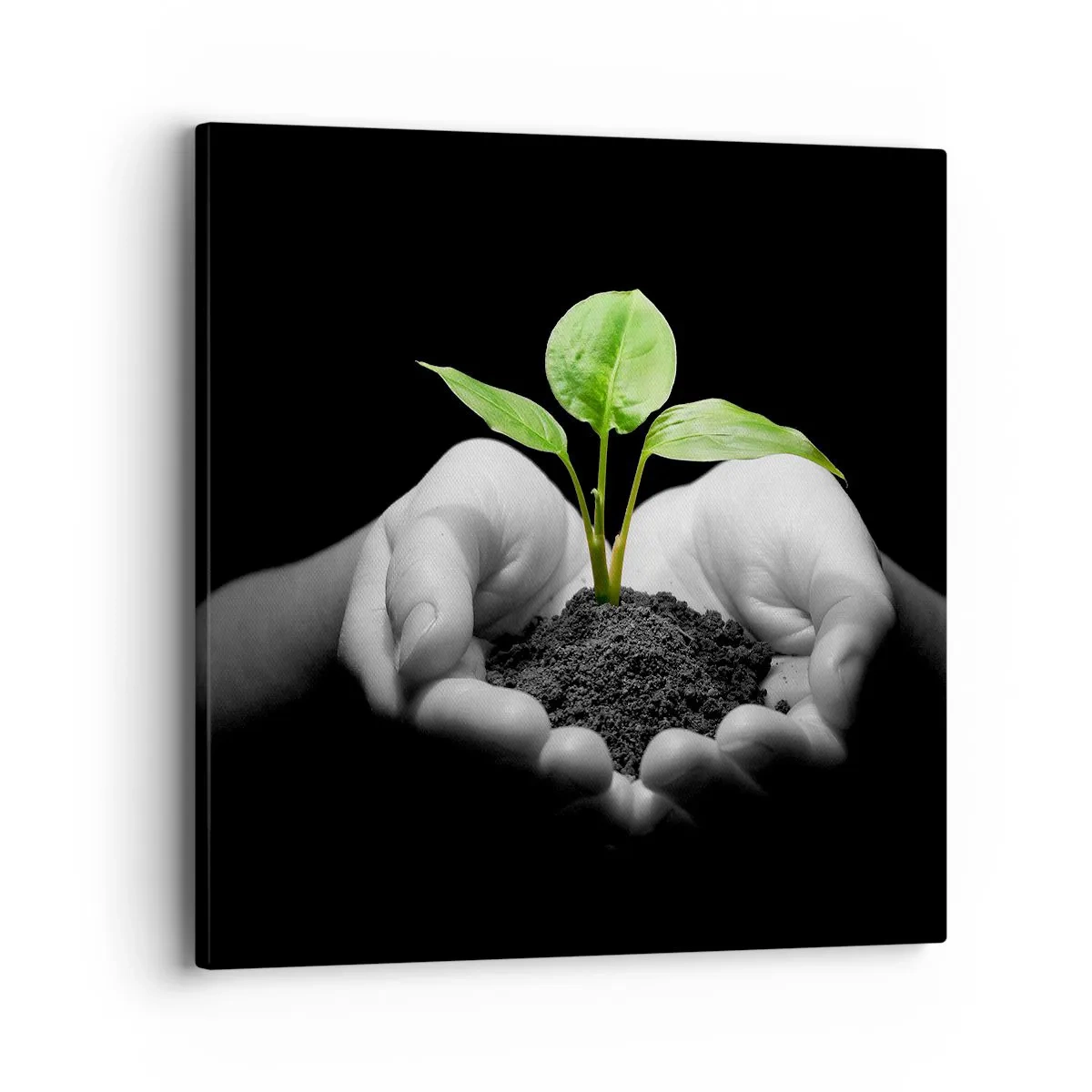 Impression sur toile - Image sur toile - J'aime la nature, je la protège - 40x40 cm