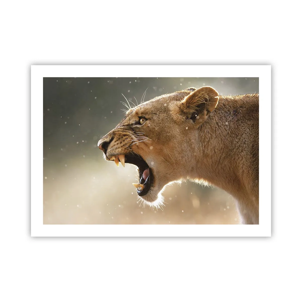 Affiche - Poster - Essayez  de ne pas écouter - 70x50 cm