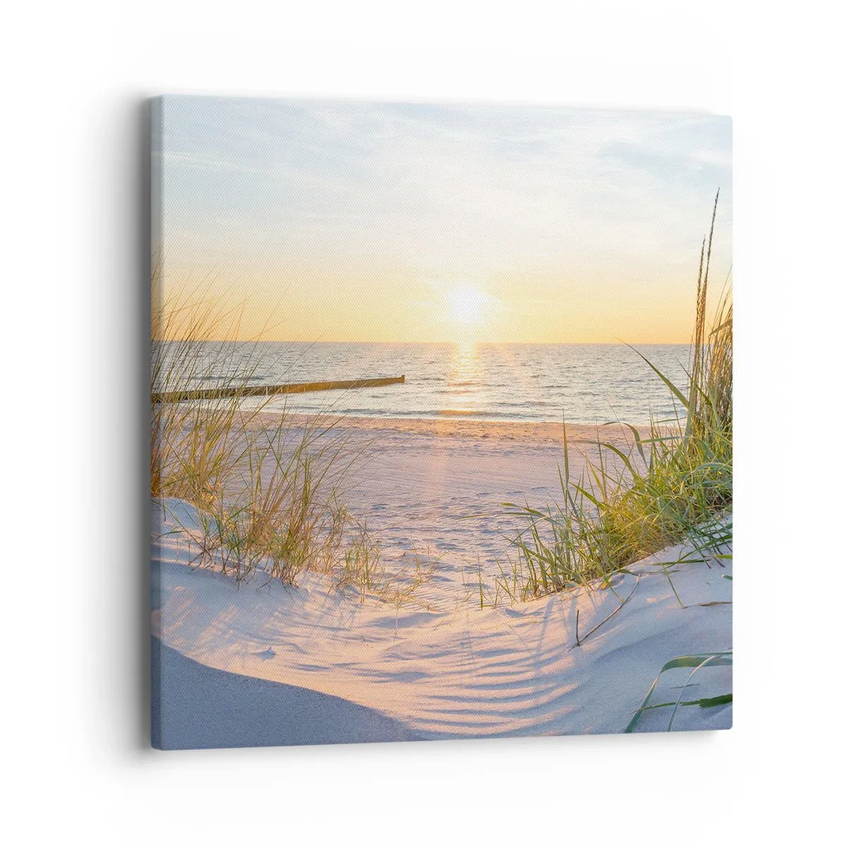 Impression sur toile - Image sur toile - Le bruit de la mer, le chant des oiseaux, une plage sauvage parmi les herbes… - 40x40 cm