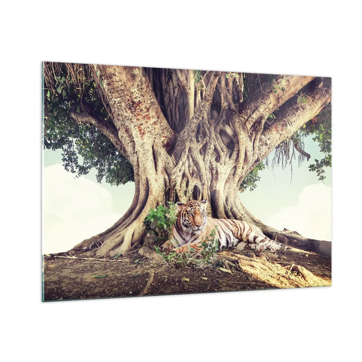 Impression sur verre - Image sur verre - Un tigre couché sous un arbre étendu dans la jungle - 100x70cm - Vue du Livre de la Genèse - Décoration murale moderne pour le salon et la chambre ARTTOR