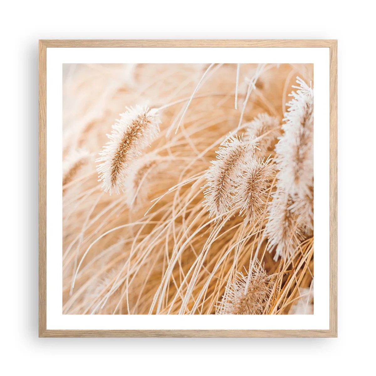 Affiche dans un chêne clair - Poster - Le bruissement doré de l'herbe - 60x60 cm