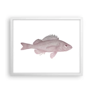 Affiche dans un cadre blanc - Poster - Poisson aux grands yeux - 50x40 cm