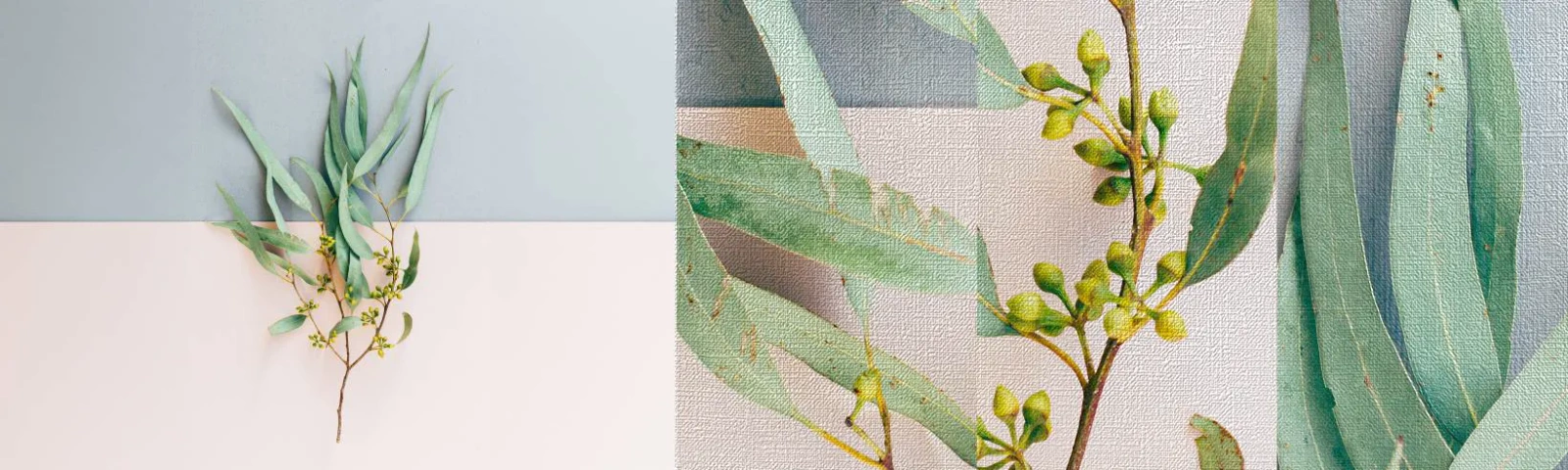 Échantillon de Papier Peint Premium Canvas - Subtilité pastel - Pastel, Usine, Bohème - 100x30 cm