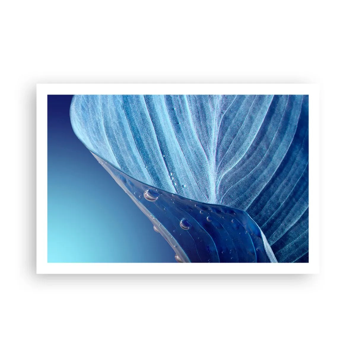 Affiche - Poster - Gouttes cachées du bleu - 91x61 cm