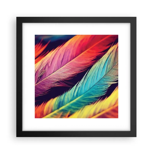 Affiche dans un cadre noir - Poster - Arc-en-ciel de plumes - 30x30 cm