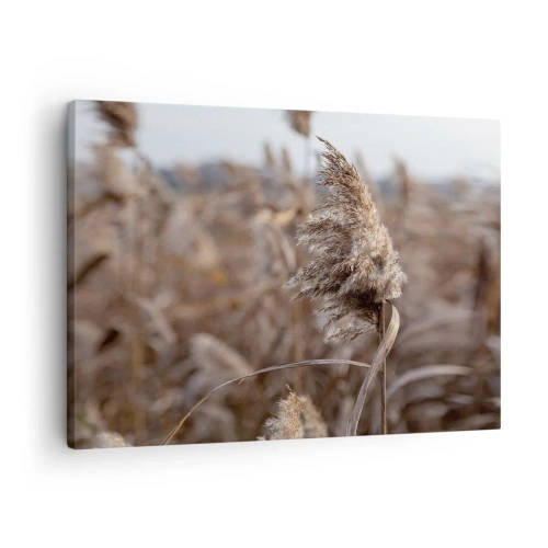 Impression sur toile - Image sur toile - Graminées délicates dans des tons beiges sur fond de nature - 70x50cm - Il est temps de s'envoler avec le vent - Décoration murale moderne pour le salon et la chambre ARTTOR