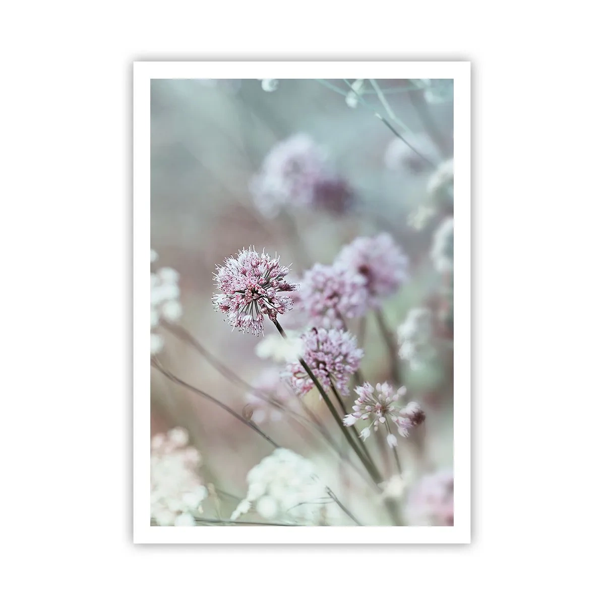 Affiche - Poster - Herbes douces en filigrane - 70x100 cm