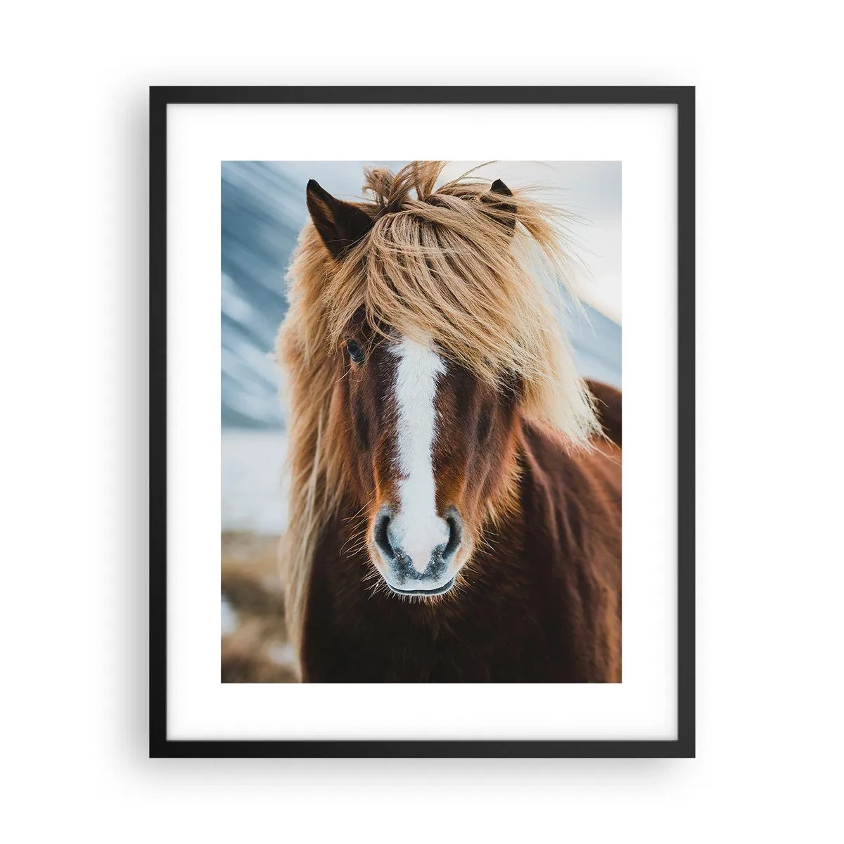 Affiche dans un cadre noir - Poster - Sentez-vous la liberté ? - 40x50 cm