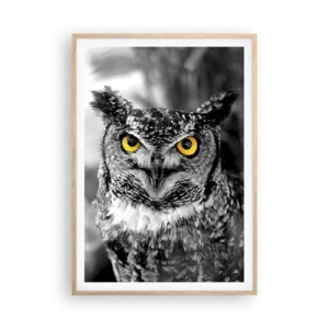 Affiche dans un chêne clair - Poster - Rien ne se cachera - 70x100 cm