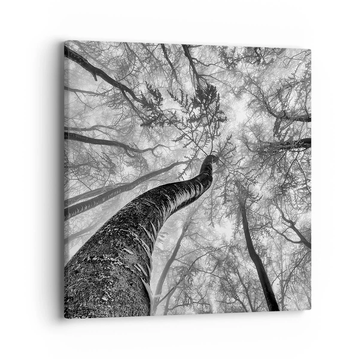 Impression sur toile - Image sur toile - Course vers la lumière - 40x40 cm