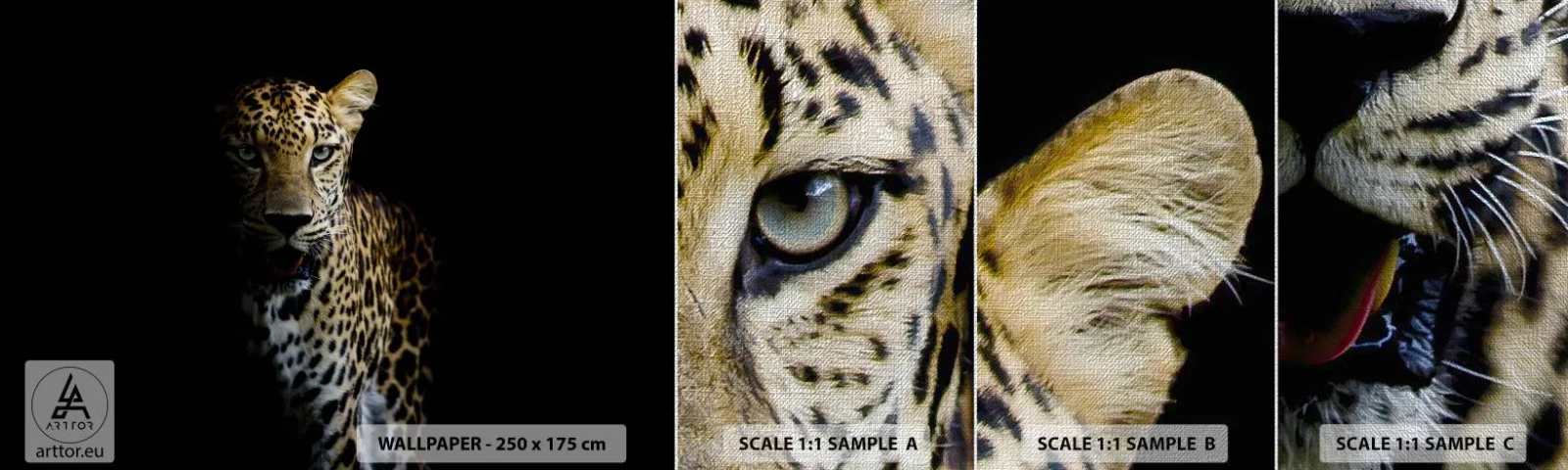 Échantillon de Papier Peint Premium Canvas - Beauté sombre - Animaux, léopard, Chat sauvage - 100x30 cm