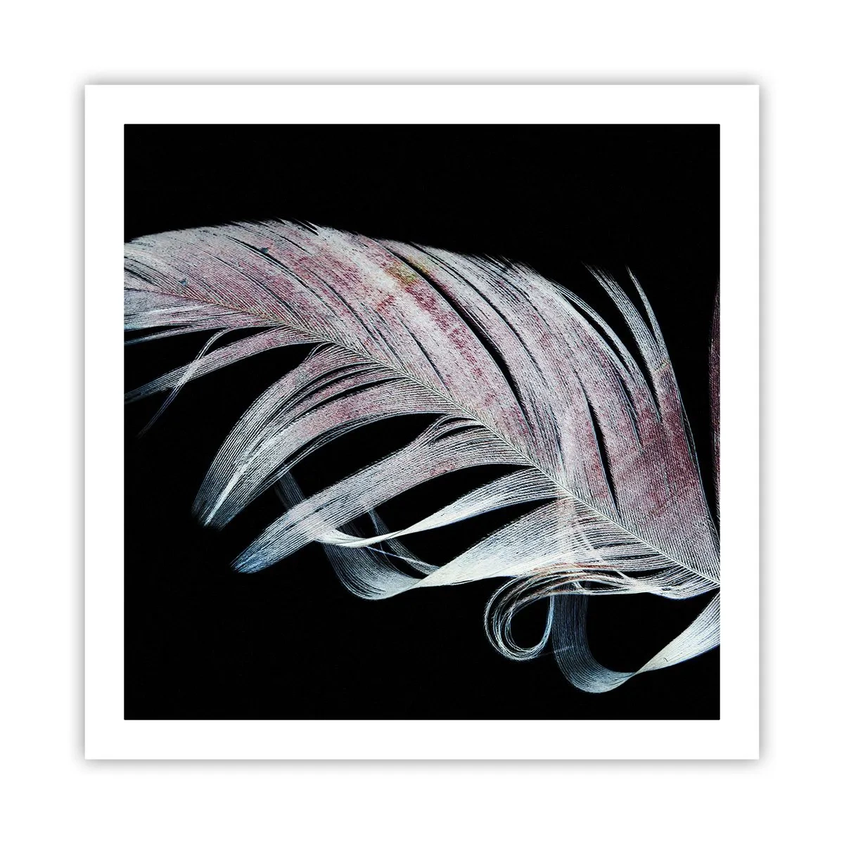 Affiche - Poster - Pensez au toucher - 60x60 cm