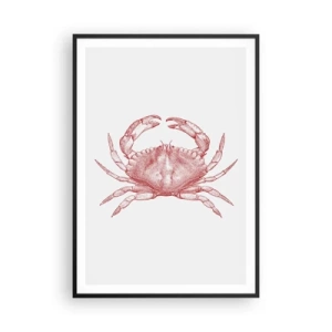 Affiche dans un cadre noir - Poster - Le crabe des crabes - 70x100 cm