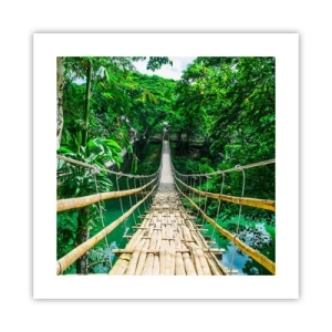 Affiche - Poster - Pont de singe en pleine nature - 40x40 cm