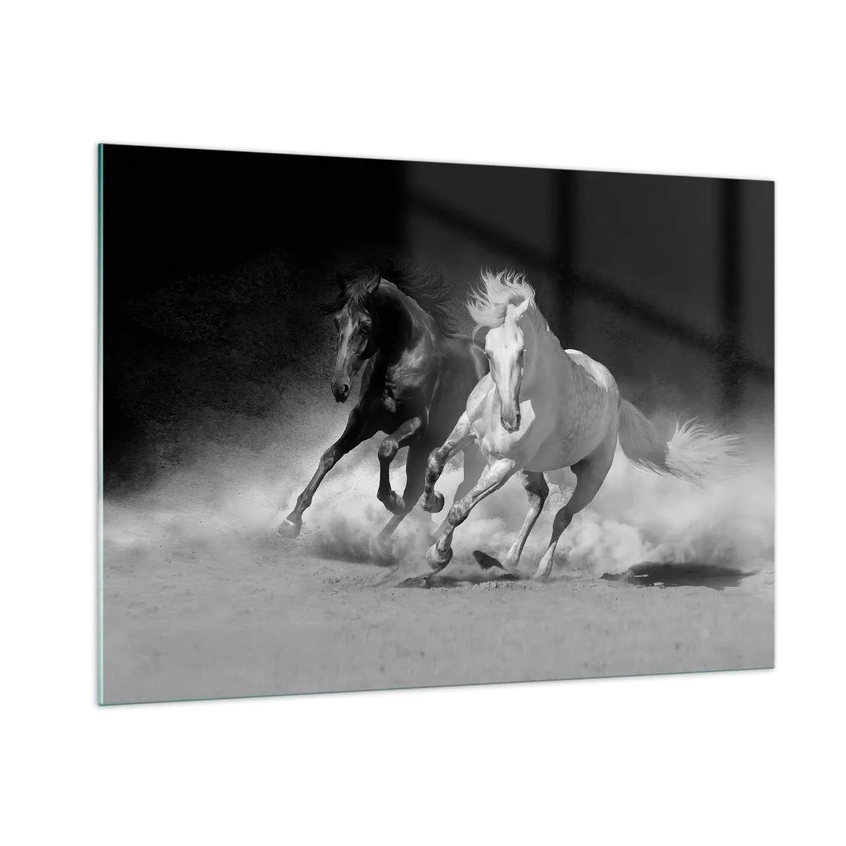 Impression sur verre - Image sur verre - Chevaux au galop en noir et blanc - 100x70cm - Galop de la liberté - Décoration murale moderne pour le salon et la chambre ARTTOR