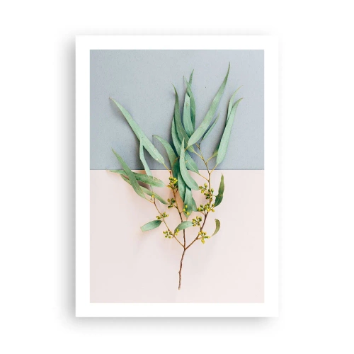 Affiche - Poster - Un brin d'eucalyptus sur fond pastel - 50x70cm - Subtilité pastel - Décoration murale moderne pour le salon et la chambre ARTTOR