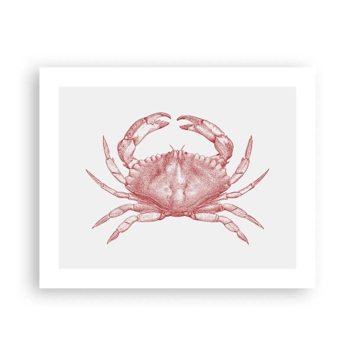 Affiche - Poster - Le crabe des crabes - 50x40 cm