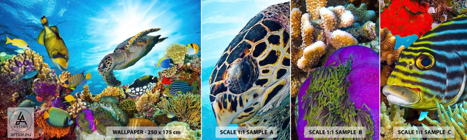 Échantillon De Papier Peint Standard Eco - Promenade de corail - récif de corail, Mer, Monde sous marin - 100x30 cm