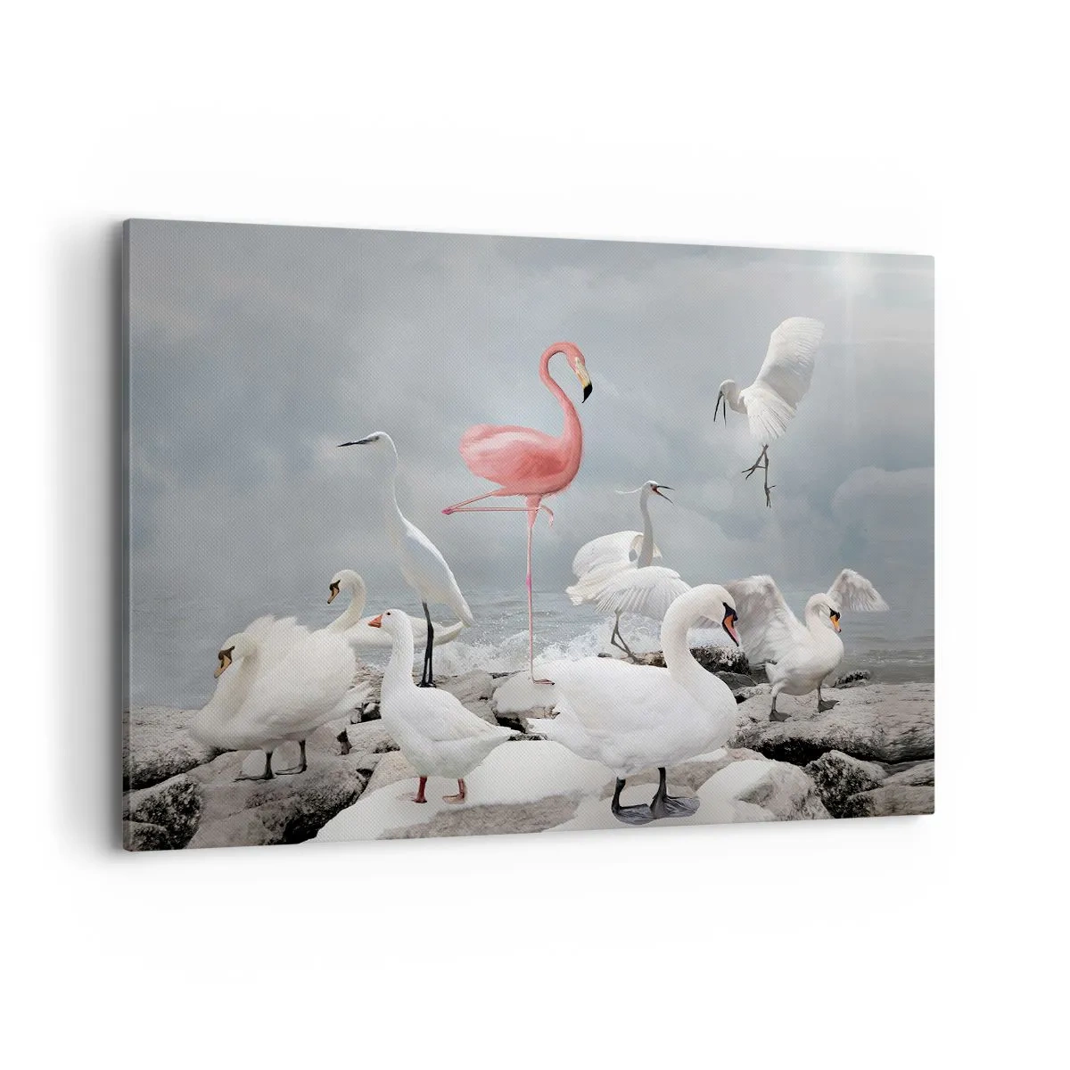 Impression sur toile - Image sur toile - Un flamant rose parmi des cygnes blancs sur fond de lac - 120x80cm - Comment suis-je arrivé là? - Décoration murale moderne pour le salon et la chambre ARTTOR