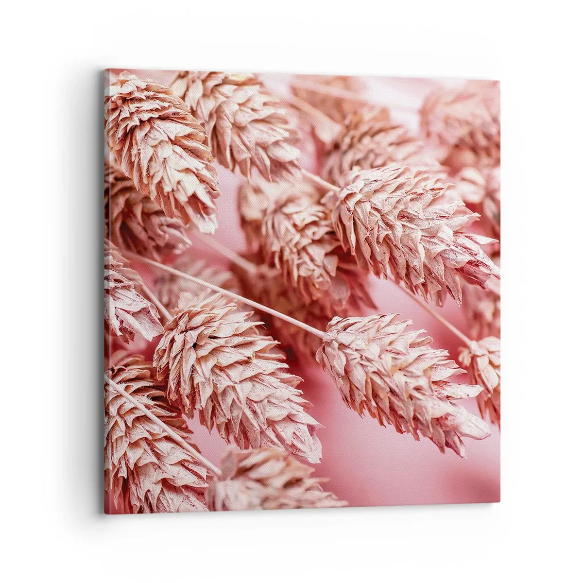 Impression sur toile - Image sur toile - Une cascade florale en rose - 70x70 cm