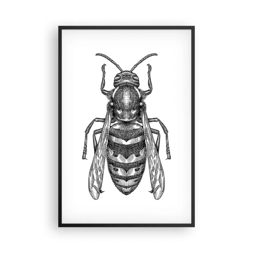 Affiche dans un cadre noir - Poster - D'une planète d'insectes - 61x91 cm