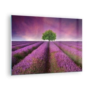 Impression sur verre - Image sur verre - Un champ de lavande avec un arbre solitaire contre le ciel - 70x50cm - Dans un champs de lavande - Décoration murale moderne pour le salon et la chambre ARTTOR