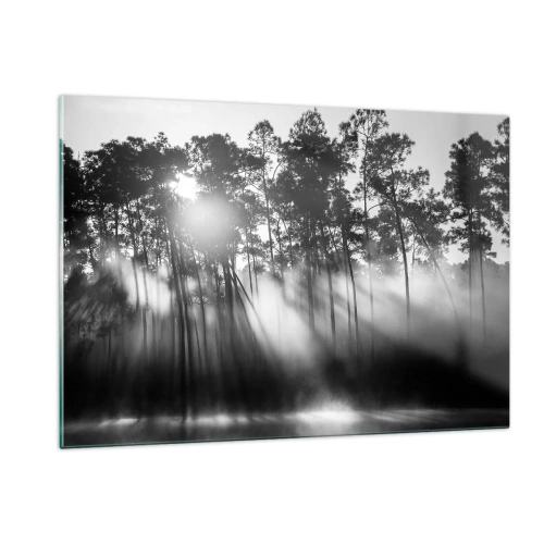 Impression sur verre - Image sur verre - Arbres noirs et blancs dans une forêt avec des rayons de soleil dans la brume - 120x80cm - Soleil inarrêtable - Décoration murale moderne pour le salon et la chambre ARTTOR