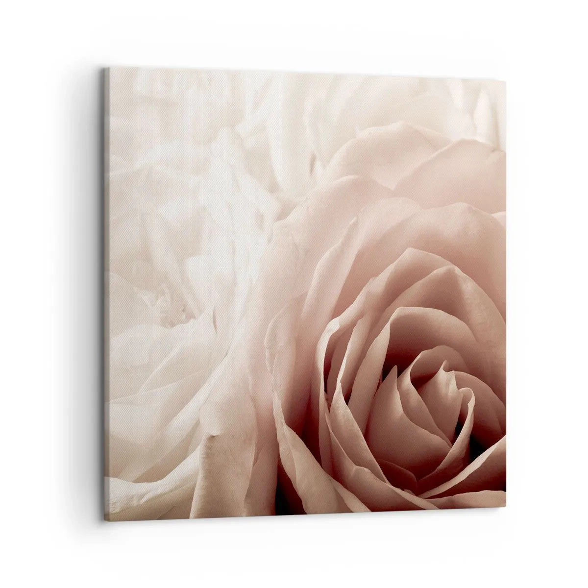 Impression sur toile - Image sur toile - Au coeur d'ue la rose - 50x50 cm