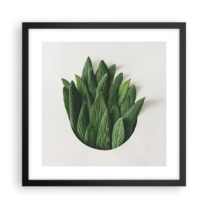 Affiche dans un cadre noir - Poster - Curiosité sans retenue - 40x40 cm