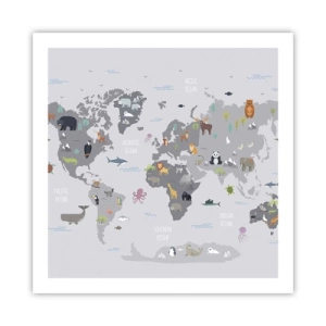 Affiche - Poster - Dis-moi d'où tu viens... - 60x60 cm