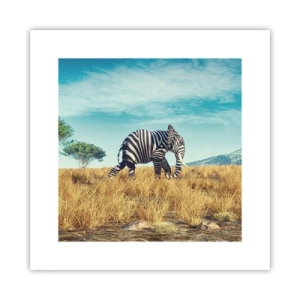 Affiche - Poster - Le gris n'est déjà plus à la mode - 30x30 cm