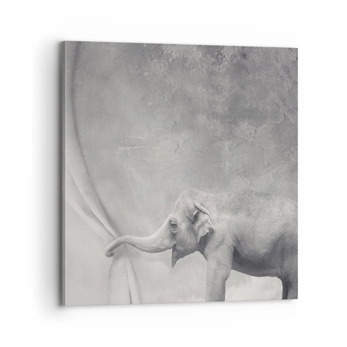 Impression sur toile - Image sur toile - Révéler le mystère - 70x70 cm