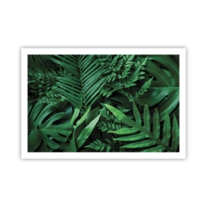 Affiche - Poster - Emmitouflé de verdure - 91x61 cm