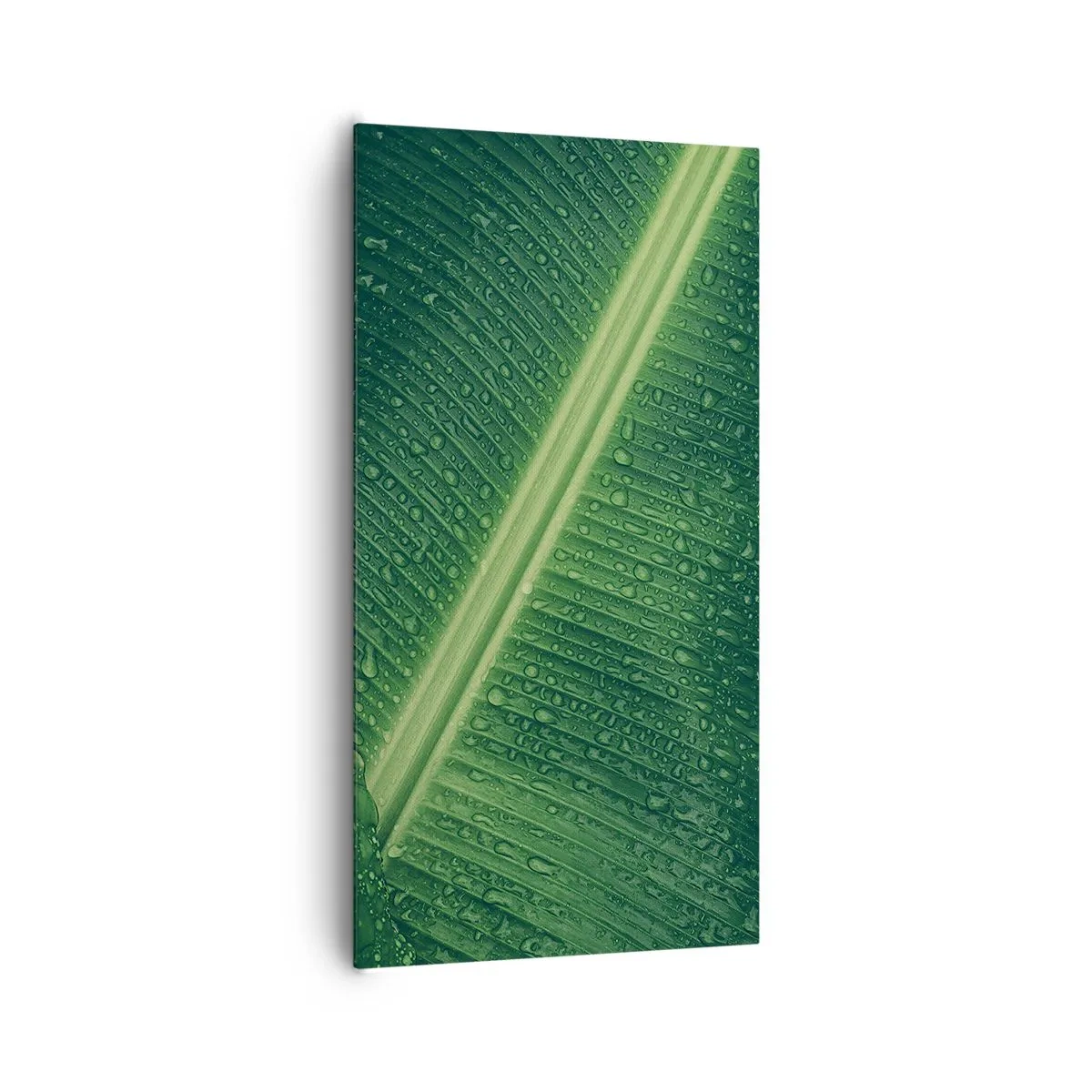 Impression sur toile - Image sur toile - Structure de vert - 65x120 cm