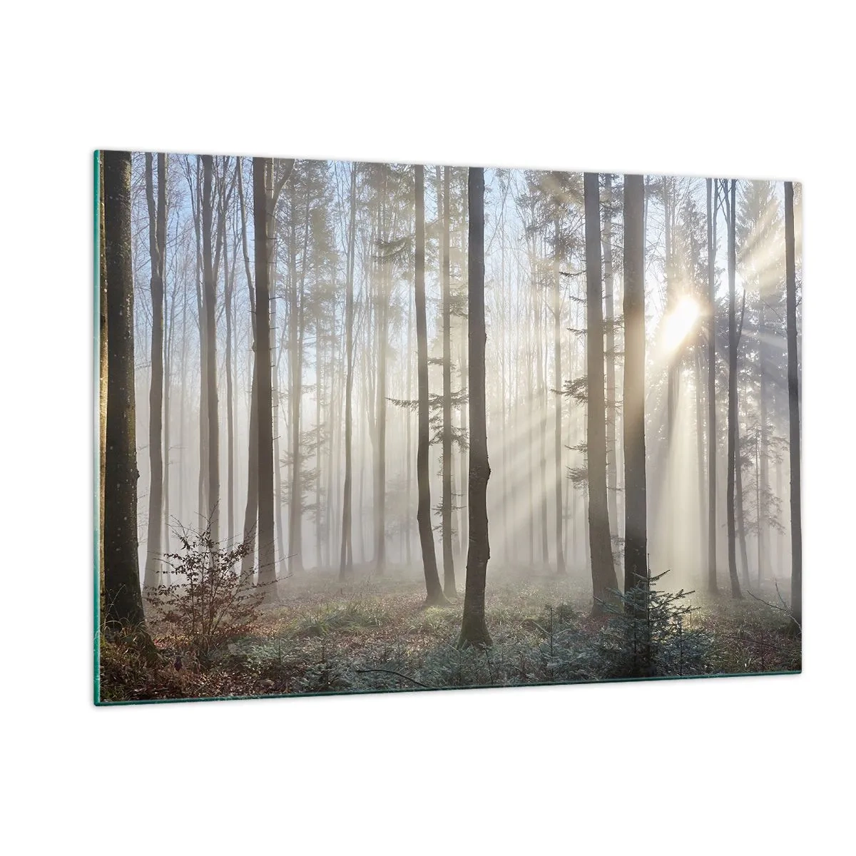 Impression sur verre - Image sur verre - Les rayons du soleil du matin pénètrent la forêt brumeuse - 120x80cm - Le brouillard s'est aussi réveillé - Décoration murale moderne pour le salon et la chambre ARTTOR