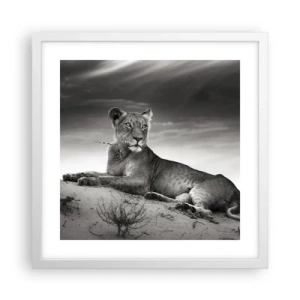 Affiche dans un cadre blanc - Poster - La reine du désert reste - 40x40 cm