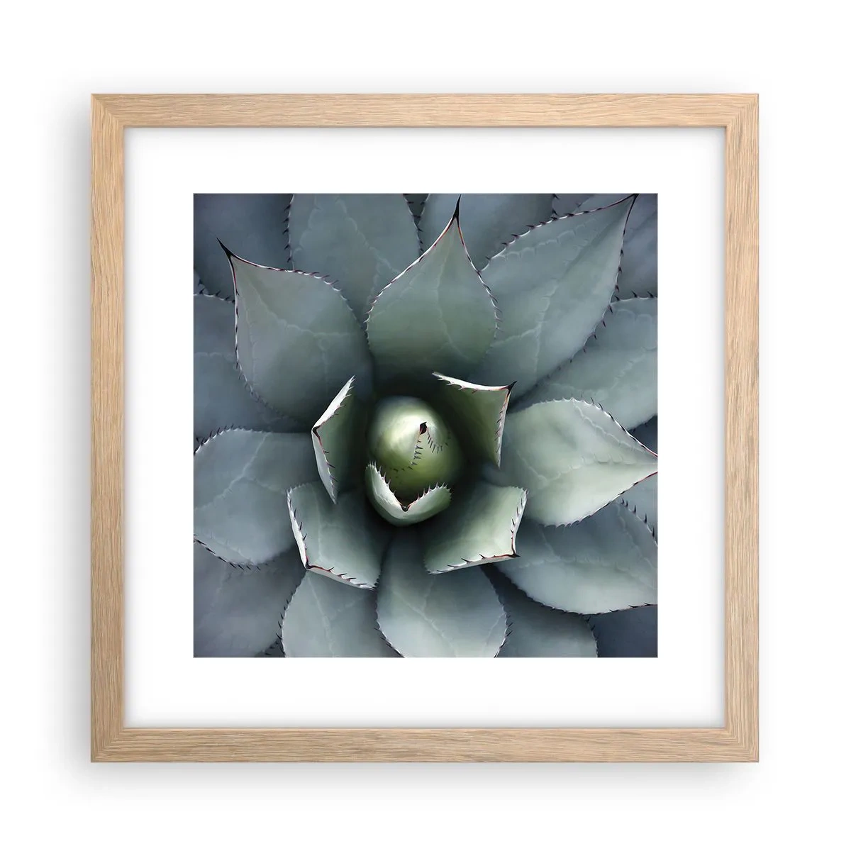 Affiche dans un chêne clair - Poster - Wabi et observe - 30x30 cm