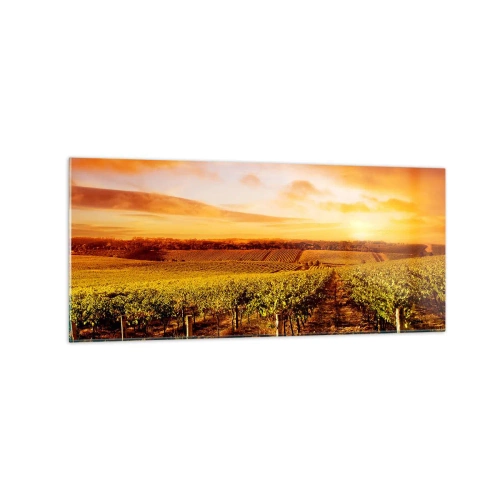 Impression sur verre - Image sur verre - Vignoble au coucher du soleil avec des tons de ciel chauds - 120x50cm - Légèrement fruité avec une pointe de soleil - Décoration murale moderne pour le salon et la chambre ARTTOR